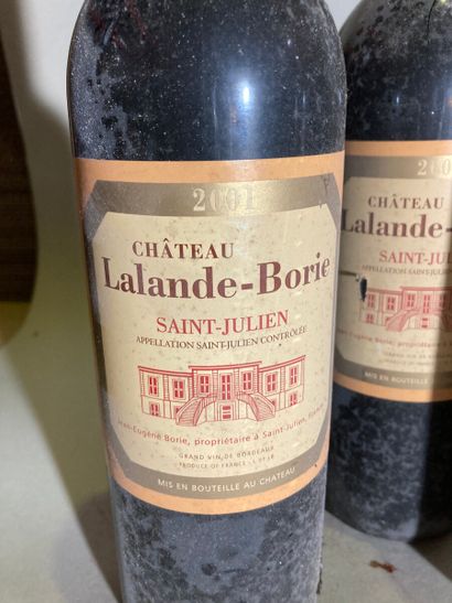 null BORDEAUX.

Château Lalande-Borie.

Saint-Julien 2001.

31 bouteilles