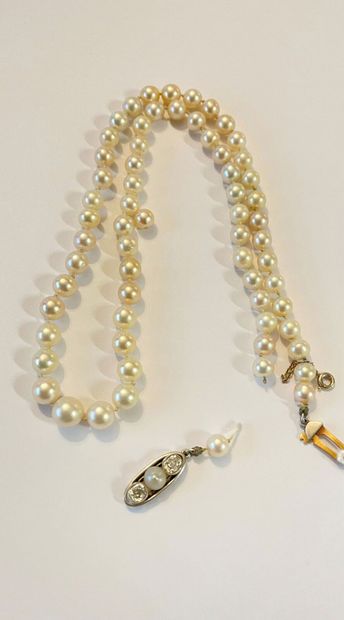 null Necklace of sixty-four fine pearls slightly in fall, the clasp in platinum 850...