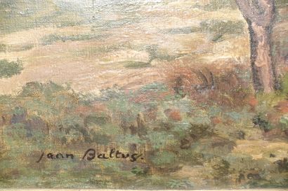 null Jean BALTUS (1880-1946)

Paysage des Alpilles

Huile sur toile, signée en bas...