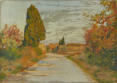 null Jean BALTUS (1880-1946)

Chemin dans les Alpilles, en automne

Huile sur toile,...