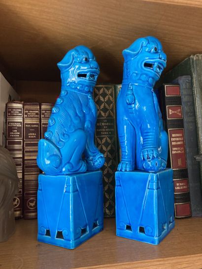 null Paire de chiens de Fô en céramique émaillée bleu céleste

Haut. : 33 cm