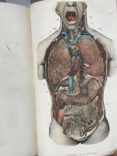 null COMTE Achille. Organisation et physiologie de l'homme. Paris, L'auteur, 1851...