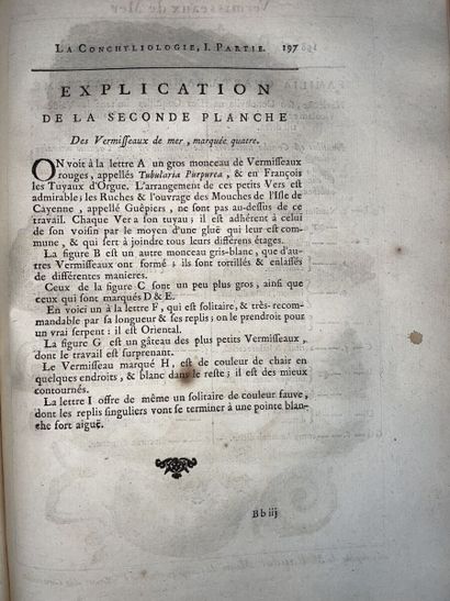 null [DEZALLIER D'ARGENVILLE Antoine-Joseph]. L'histoire naturelle éclaircie la Conchyliologie...