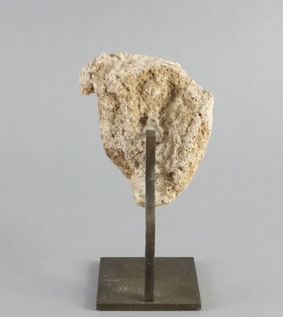 null INDE

Tête en pierre calcaire parcellaire

Haut. : 9 cm