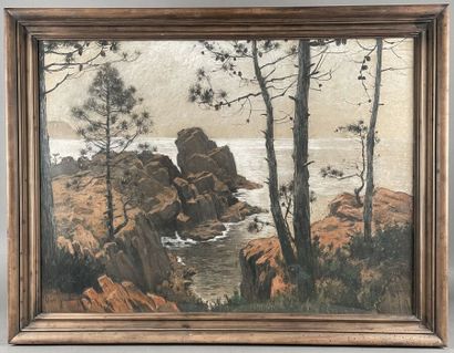 null Henri JOURDAIN (1864-1931)
Rocky inlet
Pastel and charcoal, signed lower right
Height...