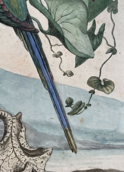 null École hollandaise du XIXe siècle 
Perroquets dans des paysages, une paire
Plume...