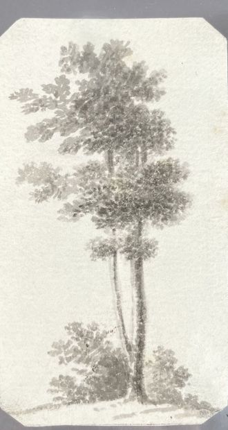 null Aurore DUPIN dite George SAND (1804-1876)
Un arbre
Dessin au lavis
Haut. : 9,3...