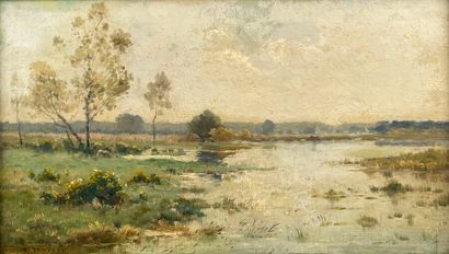 Pierre-Emmanuel DAMOYE (1847-1916)
Paysage...