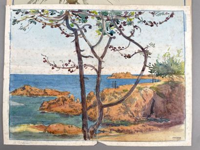null Tony MINARTZ (1870-1944)
Ensemble de trois aquarelles :

- Palmier sur une promenade
Aquarelle,...