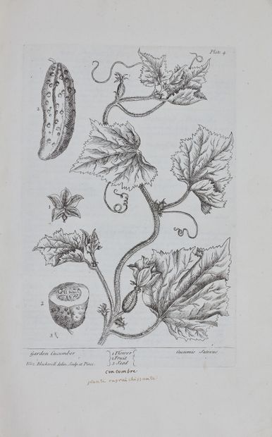 BLACKWELL Elizabeth. A Curious herbal containing...