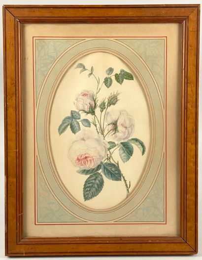 null School of the late nineteenth-twentieth century
Roses
Oval-view watercolor
(Insolate,...