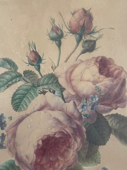 null Auguste PIQUET DE BRIENNE (1789-?)
Branch of Roses, Forget-Me-Not and Butterfly
Pen...