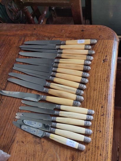 null Lot de couteaux à manche en os et lame inox comprenant douze grands couteaux...