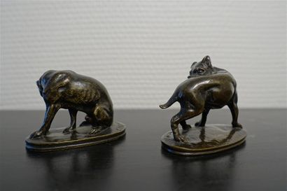 null CHEMIN Joseph-Victor (1825-1901), d'après
" Petit dogue "
Deux bronzes patinés,...