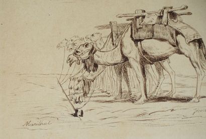null Prosper MARILHAT (1811-1847).
Chameaux attachés au piquet
Dessin à la plume...