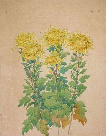 null Tony MINARTZ (1870-1944).
Bouquet au ruban bleu - Couronne de fleur - Chrysanthèmes...