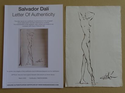 Salvador DALI Salvador Dali (attributed) ink drawing, hand signed, 29x20cm Gazette Drouot