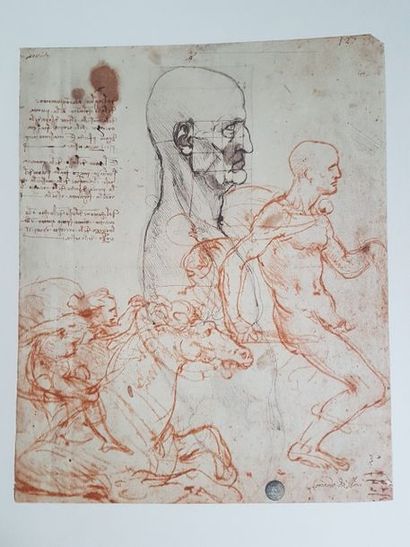 Volume sur les Dessins de Léonard de Vinci et de ses disciples conservés aux Galeries...