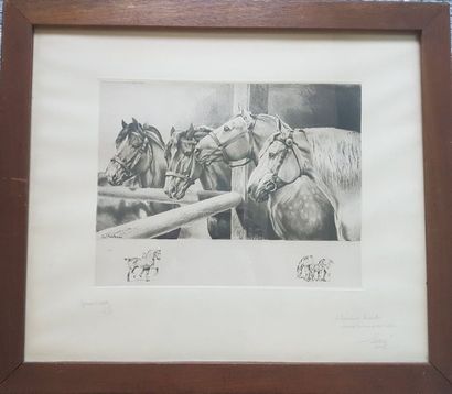 J. FENETEAU (?) XXe siècle J. FENETEAU (?) XXe siècle
Portrait de 4 chevaux harnachés....