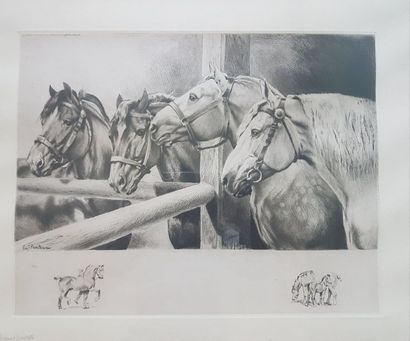 J. FENETEAU (?) XXe siècle J. FENETEAU (?) XXe siècle
Portrait de 4 chevaux harnachés....