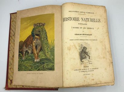 *Lot comprenant : *LOT comprenant : 

- Charles BROGNIART, Histoire naturelle populaire,...