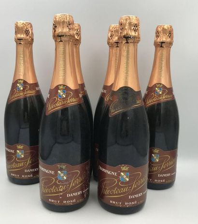 6 Bouteilles Champagne PRÉVOTEAU-PERRIER Brut Rosé, NM 6 Bouteilles Champagne PRÉVOTEAU-PERRIER...