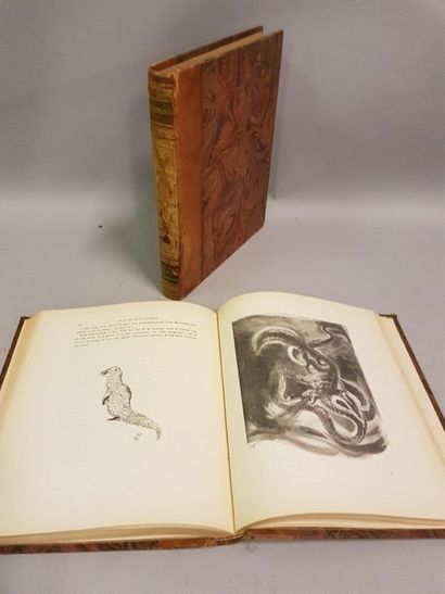 KIPLING Rudyard, le livre de la jungle, Librairie Delagrave, Paris, 1930, illustrations...