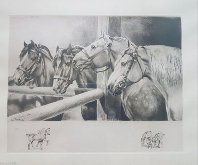 J. FENETEAU (?) XXe siècle J. FENETEAU (?) 20th century
Portrait of 4 harnessed horses....