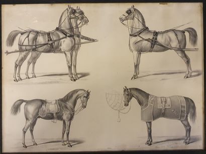 null *Set of four framed engravings on the theme of the horse. (Acc.)