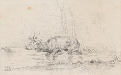 Joseph OBERTHUR *Joseph OBERTHÜR. Deer in the marsh. Pencil on paper. Signed lower...