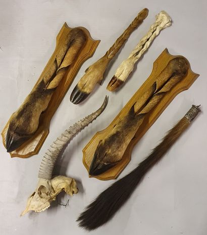 null 
*Set of four African antelope braided honorary feet.




A small antelope kill...