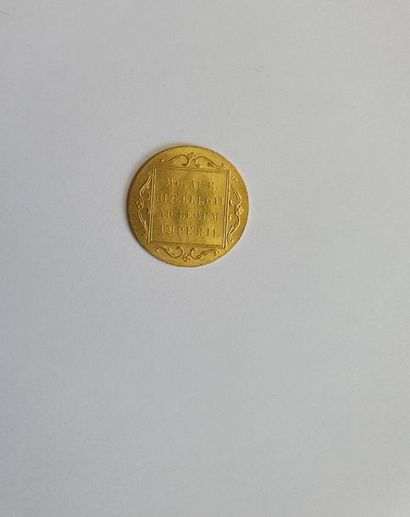 PAYS-BAS PAYS-BAS

Pièce en or, 1 ducat, 1928

Poids : 3,49g