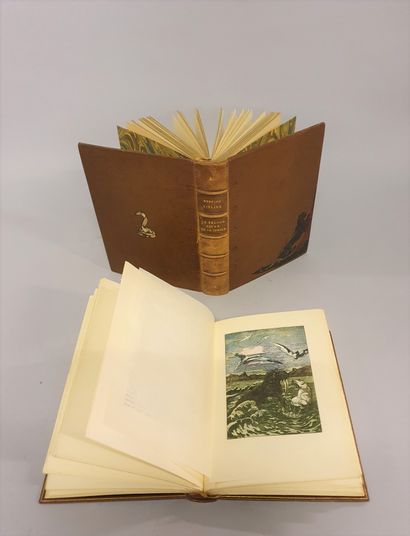 null 
*R. KIPLING, The Jungle Book, 12 engravings printed in color by M. De Becque,...