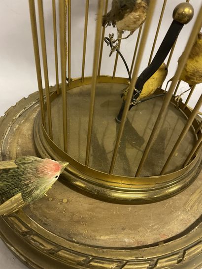 LAMPE en forme de cage à oiseaux en métal doré et trois oiseaux, sur son socle en...