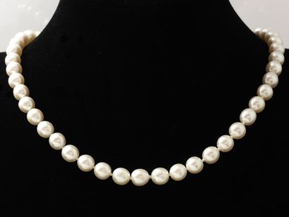 Collier composé d'une légère chute de perles de culture d'environ 7.8 mm à 8.3 mm....