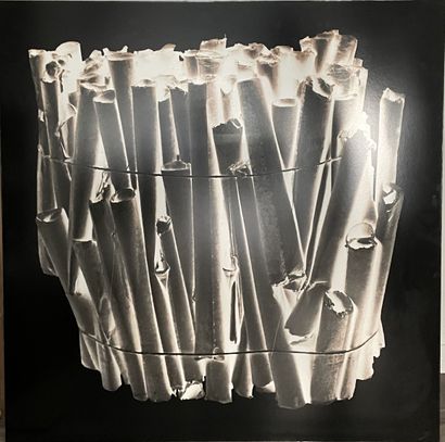 *Aram DERVENT *Aram DERVENT


"TUBES"


Tirage argentique sur aluminium , tiré en...