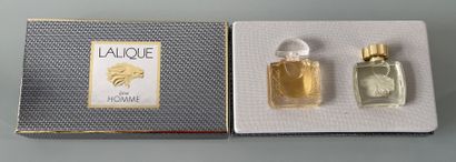 null LALIQUE



Titled box containing 2 miniature homothetic bottles "Lalique de...