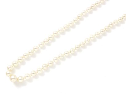 Collier composé d'une chute de perles de culture d'environ 4 à 7.8 mm. Il est agrémenté...