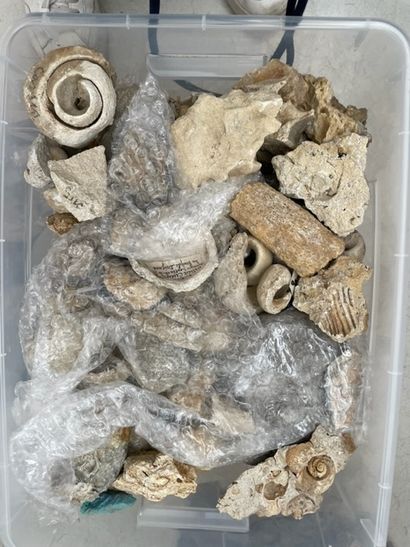UNE CAISSE DE GÉOLOGIE, différents minéraux, appartenant à une collection fin XIXe...