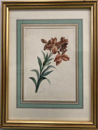 null Ecole FRANCAISE de la fin du XIXème siècle
FLEURS
Aquarelle sur papier daté...