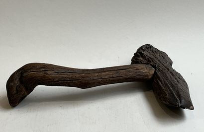 null BOIS PÉTRIFIÉ (?), BOIS
L. 27 cm
La tête (en bois pétrifié ?) enchâssée