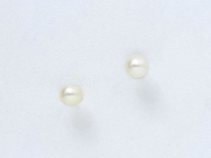 Paire de clous d'oreilles en or 750 millièmes ornés de perles de culture Paire de...