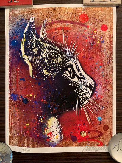 C215 (CHRISTIAN GUEMY) C215 - Firework, 2020

Lithograph signed and numbered by hand... Gazette Drouot