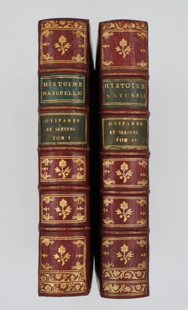null LACEPEDE, Histoire naturelle des quadrupèdes ovipares et des serpens. Paris,...