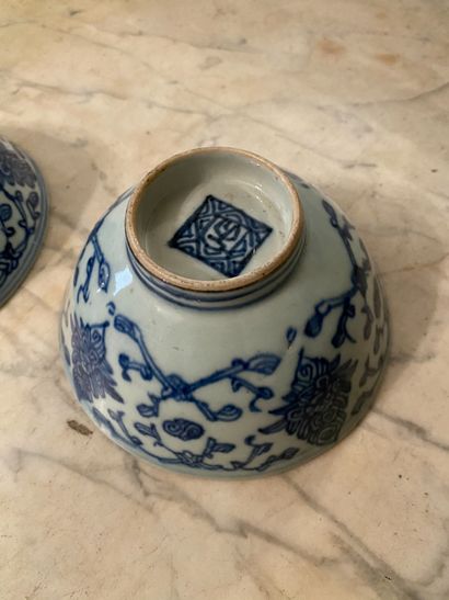 null 
Chine, XIXème siècle. 






Deux coupes en porcelaine émaillée blanc bleu...
