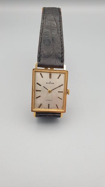 null EVIANA "Classic" circa 1965

Bracelet watch in 18K yellow gold, rectangular...