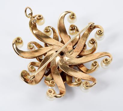 null Brooch being able to form Pendant in yellow gold 14K (585 thousandths) with...