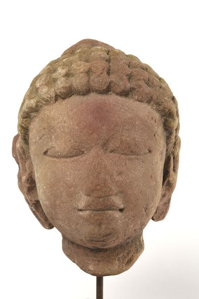 null INDE, époque Gupta (Vème- VIème siècle). Tête de Bouddha nimbé et coiffé de...