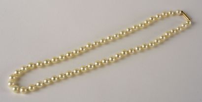 null Collier d'un rang de perles de culture blanches. 

Fermoir cliquet en or jaune...