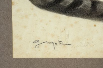 Georges Lucien GUYOT (1885-1973) Tigres couchés. 
Fusain sur papier, signé en bas...